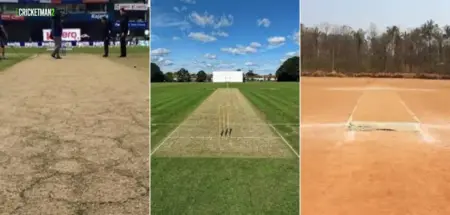Types of Cricket Pitches