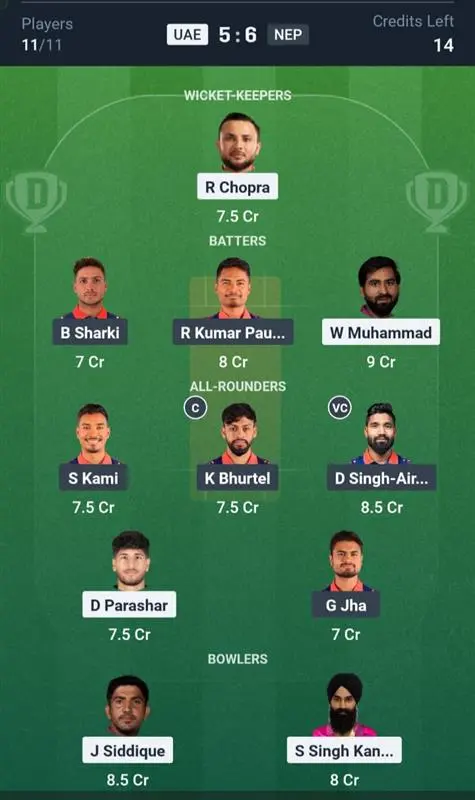 UAE vs NEP Small League Team