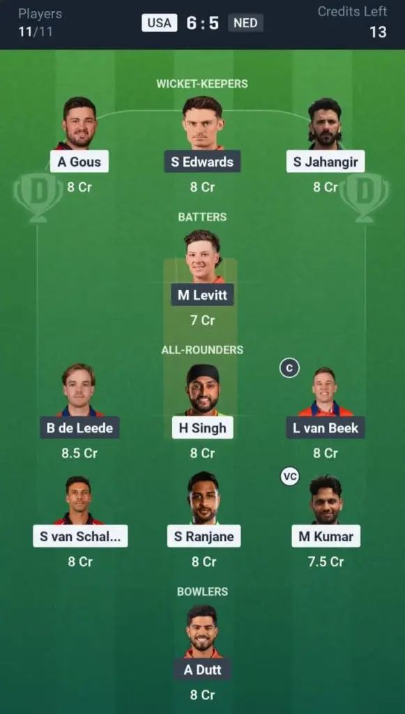 USA vs NED Dream11 Prediction Small League Team