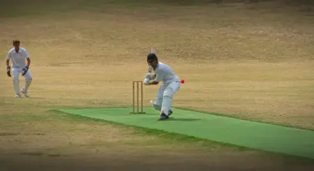 Has cricket become a “data-driven” sport like baseball?